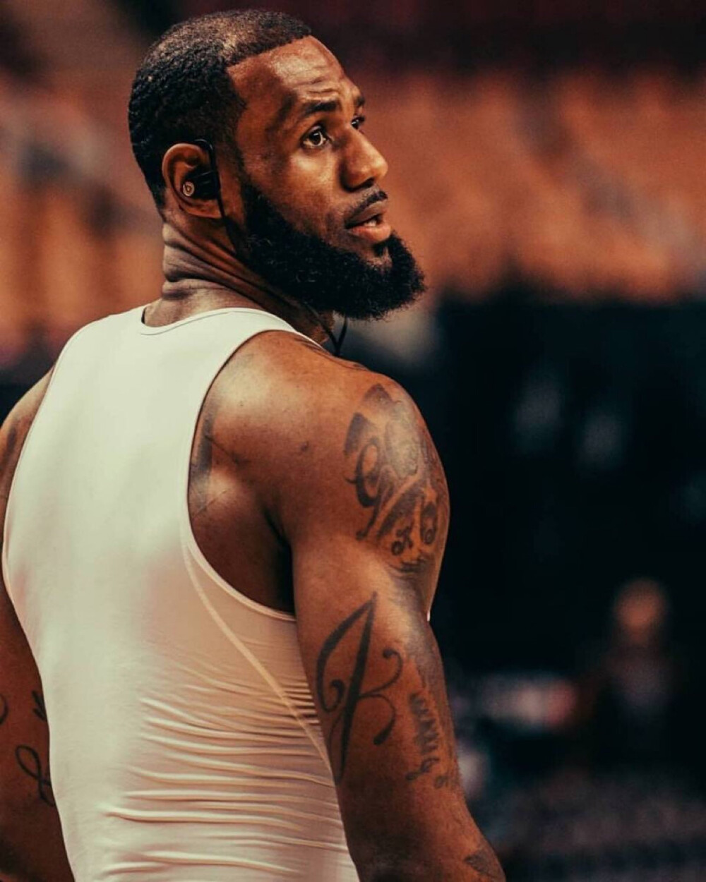 赔率并非总 赔率并非总